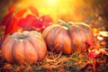 Thanksgiving day background. Orange pumpkins over nature background