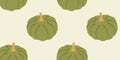 Thanksgiving day background. Vector cartoon illustration, hello autumn. Seamless pattern with cozy green pumpkins, Hygge time.