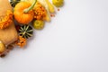 Thanksgiving day concept. Top view photo of raw vegetables pumpkins gourd maize pattypans walnut acorn and rowan berries on