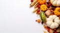 Thanksgiving day concept. Top view photo of raw vegetables pumpkins gourd maize pattypans walnut acorn and rowan berries on