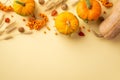 Thanksgiving day concept. Top view photo of raw vegetables pumpkins gourd rowan walnuts physalis and wheat on isolated beige
