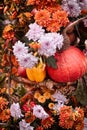 Thanksgiving Day decor with various pumpkins, autumn vegetables and flowers. Harvest and garden decoration Royalty Free Stock Photo