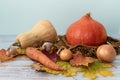 Thanksgiving Day decoration background. Blue wooden table with pumpkins, carrot, garlic, onion and maple leaves. Harvest festival