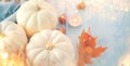 Thanksgiving Day dinner. Holiday served table decorated with pumpkins, autumn bright colorful leaves Royalty Free Stock Photo