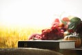 Thanksgiving day fruit and field background with bible and grain