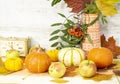 Thanksgiving day with fruits and vegetables on the table. Autumn harvest at a time of abundance. Royalty Free Stock Photo