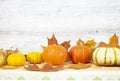 Thanksgiving day with fruits and vegetables on the table. Autumn harvest at a time of abundance. Royalty Free Stock Photo