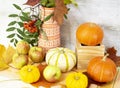 Thanksgiving day with fruits and vegetables on the table. Autumn harvest at a time of abundance. Royalty Free Stock Photo