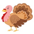 Thanksgiving Day. Funny cartoon turkey character in flat style isolated on white background. Farm bird vector Royalty Free Stock Photo