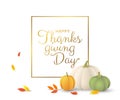 Thanksgiving day nice greeting card with pumpkins and leaves on white background. - Vector illustration