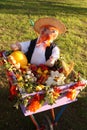 Thanksgiving Day Photo - heavy crop - Stock images