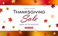 Thanksgiving day sale banner background with fall leaves. Royalty Free Stock Photo