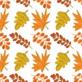 Thanksgiving Day seamless pattern. Vector illustration with turkey, pumpkins, red berries, autumn leaves, scarecrow, sunflowers,