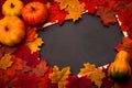 Thanksgiving day or seasonal autumn holiday setting with pumpkin, squash and fallen leaves blackboard background with copy space.