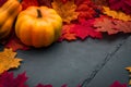 Thanksgiving day or seasonal autumn holiday setting with pumpkin, squash and fallen leaves on stony background with copy space.