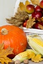 Thanksgiving Day. Still life of pumpkins and corn, grapes and nu Royalty Free Stock Photo