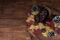 Thanksgiving decor with horn of plenty and frosted pine cones Royalty Free Stock Photo