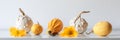 Thanksgiving decoration. Minimal autumn inspired room decoration. Selection of various pumpkins on white shelf. Royalty Free Stock Photo