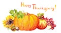 Thanksgiving design - fruits, vegetables - pumpkin, apples, grape. Watercolor