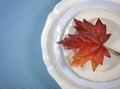 Thanksgiving dining table elegant place setting Royalty Free Stock Photo