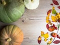 Thanksgiving dinner background with pumpkins, fall leaves, table setting, physalis, apple, top view, copy space Royalty Free Stock Photo