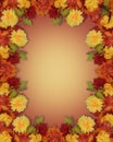 Thanksgiving Fall Autumn Border mums Royalty Free Stock Photo