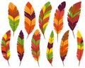 Thanksgiving or Fall Colored Feathers Royalty Free Stock Photo