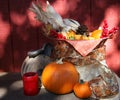 Thanksgiving Fall Harvest Royalty Free Stock Photo