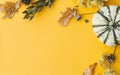 Thanksgiving flat lay. Stylish striped pumpkin, autumn flowers, leaves, berry on yellow background. Modern minimal fall border Royalty Free Stock Photo