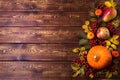 Thanksgiving frame with orange pumpkins, fall rosehip leaves, apple, pear and viburnum berries on the rustic wooden background,