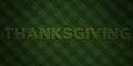 THANKSGIVING - fresh Grass letters with flowers and dandelions - 3D rendered royalty free stock image