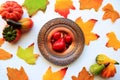 Thanksgiving Fruit and Leaves