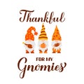 Thanksgiving gnomes. Thankful with me gnomies quote lettering.. Cute cartoon characters. Vector template for banner