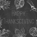 Thanksgiving greeting card with autumn leaves. Thanksgiving Day design on chalkboard. Hand drawn illustration