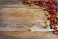 Thanksgiving greeting with red berries, acorn, fall leaves on w