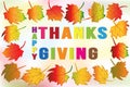 Thanksgiving greetings card holidays celebrations Royalty Free Stock Photo