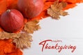 Thanksgiving greetings. Pumpkins, dry leaves on a white background, top view. Kaligraphic capital inscription Royalty Free Stock Photo