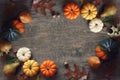 Thanksgiving and Halloween Autumn Season Holiday Background with Festive Fall Pumpkin, Leaf and Fruit Border Over Wood Texture Royalty Free Stock Photo