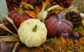 Thanksgiving & Halloween decoration with three pumpkins. Fall, Autumn. Royalty Free Stock Photo