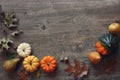 Thanksgiving And Halloween Fall Season Holiday Background With Festive Autumn Pumpkin, Leaf And Fruit Border
