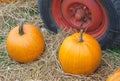 Thanksgiving or halloween pumpkin and tractor wheel on straw