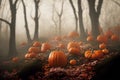 Thanksgiving and halloween pumpkins in autumn forest. Fall season landscape with bare trees, maple leaves and pumpkin crop. Royalty Free Stock Photo