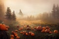 Thanksgiving and halloween pumpkins in autumn forest. Fall season landscape with pumpkin field. Festive holiday greeting card Royalty Free Stock Photo