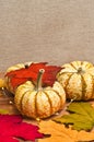 Three Thanksgiving had picked pumpkin Royalty Free Stock Photo