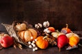 Thanksgiving harvest cornucopia against a dark background Royalty Free Stock Photo