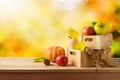 Thanksgiving holiday and autumn season concept with pumpkin, apples and fall leaves in farmer box on wooden table over autumn Royalty Free Stock Photo