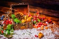 Thanksgiving holiday background with opened chest treasure, apple, nuts, cones, berries, fir tree and snow, rural style, close up Royalty Free Stock Photo