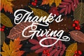 Thanksgiving holiday banner with congratulation text. Autumn tree leaves on chalkboard background. Autumnal design for Royalty Free Stock Photo