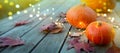 Thanksgiving holiday party background, autumn pumpkin and holidays light decoration Royalty Free Stock Photo