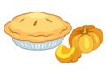 Thanksgiving And Holiday Pumpkin Pie. American Pie On Plate And Pumpkin Vector.